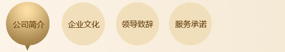 公司简介