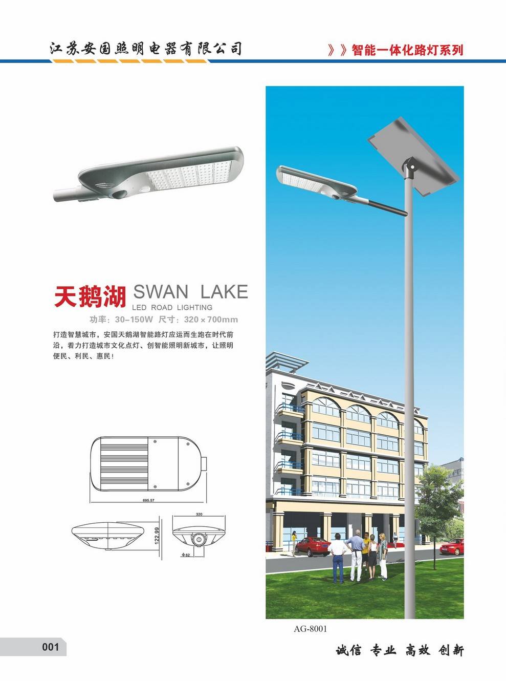 安国天鹅湖智能路灯001