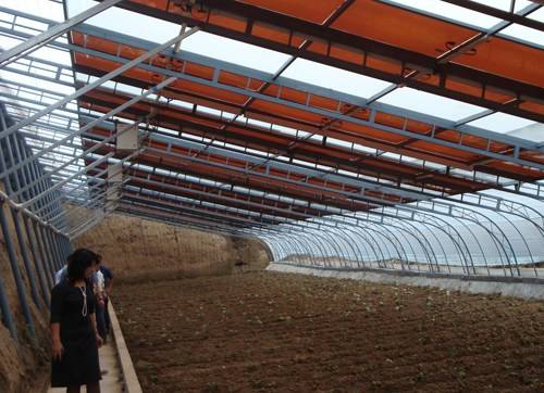 中国自主产权薄膜太阳能大棚发电系统保定产