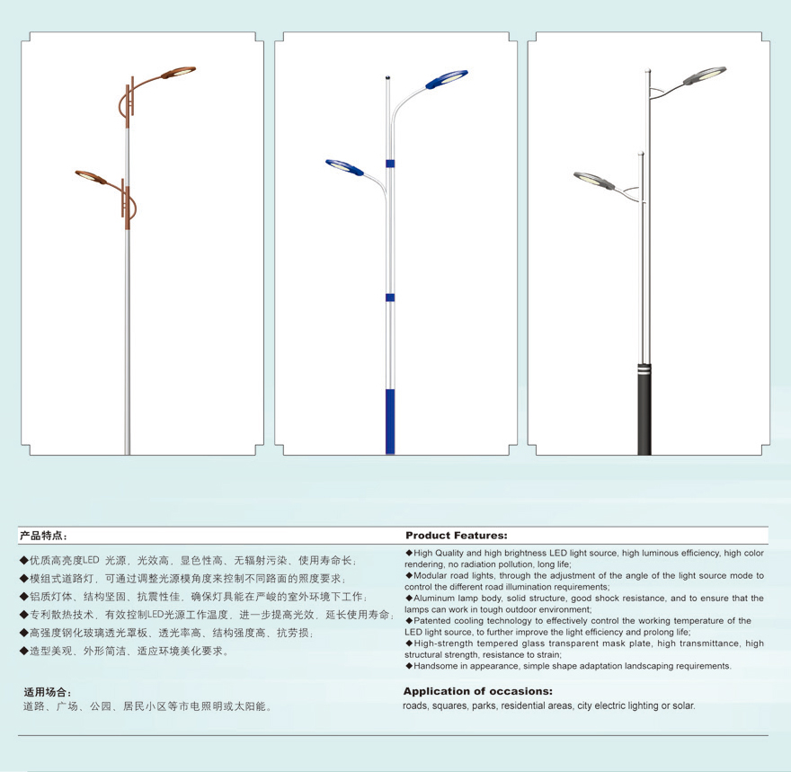 道路灯 DLD-034