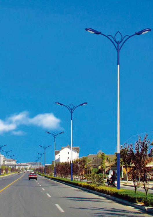 道路灯 DLD-039
