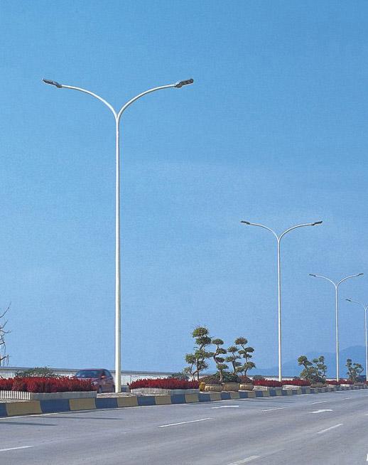 道路灯 DLD-009