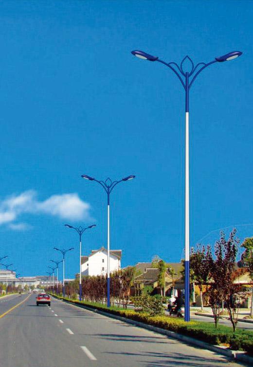 道路灯 DLD-019