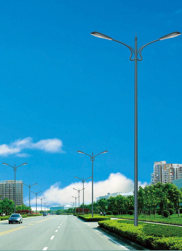 道路灯 DLD-005