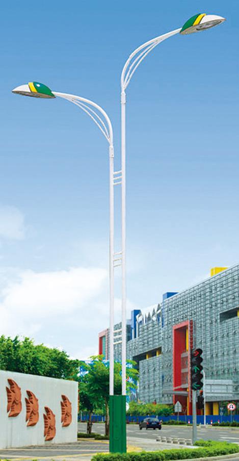 道路灯 DLD-030